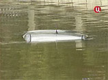 Автомобиль упал в реку в Москве. Водитель и пассажир спаслись