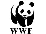 В заявлении на сайте WWF говорится, что, несмотря на создание рабочих групп, все предложения экологов выслушиваются, но потом не реализуются