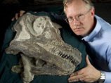 В США найдены останки ранее не исследовавшейся разновидности динозавра