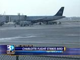В США сразу два самолета столкнулись со стаями птиц