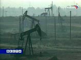Государство впервые продает стратегические нефтяные месторождения - имени Требса и имени Титова в Ненецком автономном округе