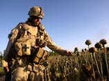 В то же время представители альянса понимают озабоченность России ростом поставок наркотиков из Афганистана, особенно на фоне данных ООН о больных наркоманией в стране