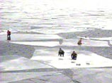 С оторвавшейся в Финском заливе льдины спасены более 60 рыбаков
