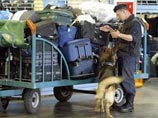 В аэропортах и на железных дорогах РФ усилены меры безопасности из-за терактов в московском метро