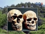Обнаруженные на Алтае останки нового вида человека, обитавшего там 30-40 тыс лет назад, принадлежат маленькой девочке
