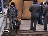 Большинство россиян винит в московских терактах спецслужбы, показал опрос
Большинство россиян винит в московских терактах спецслужбы, показал опрос