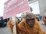 Собрание акционеров  Nestl&#233; прервали люди в костюмах орангутангов, появившиеся буквально с потолка