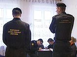 В Архангельске судебный пристав наложил арест на двух щенков, принадлежавших неплательщикам