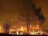 В Приморье и Приамурье за сутки ликвидированы 17 природных пожаров