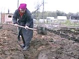 Россиянам не увеличат майские праздники - на дачу рано Россиянам не увеличат майские праздники - на дачу рано