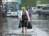 Во Владивостоке ураганным ветром повалены десятки деревьев, сорваны рекламные щиты