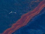 Гигантское нефтяное пятно, образовавшееся после пожара и затопления буровой установки Deepwater Horizon в Мексиканском заливе, вечером в четверг достигло устья американской реки Миссисипи