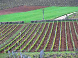 Виноградники, где выращивают сырье для вина Roman&#233;e-Conti, расположены на крошечной по меркам виноделия территории в 4,5 акра