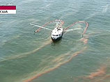 В Мексиканский залив вылилось более 15 млн литров нефти