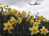 Ожидается закрытие аэропортов в регионе, хотя над столицей Северной Ирландии Белфастом воздушное пространство будет открыто до 7:00 по британскому времени