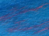 Большое нефтяное пятно, образовавшееся в результате аварии на буровой платформе, достигло главного течения Мексиканского залива и движется в сторону архипелага Florida Keys
