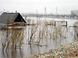 В Якутии в зоне наводнения погибли уже более полутора тысяч голов крупного рогатого скота и лошадей