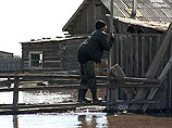 Уровни паводка на Лене на территории Якутии повсеместно понижаются, опасности новых подтоплений не ожидается