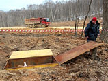 Во Владивостоке началось извлечение из земли сотен останков людей, найденных при строительстве дороги "Новый-Де-Фриз-Седанка- Патрокл"