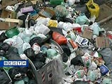 В России слишком много мусора, заявили на Госсовете