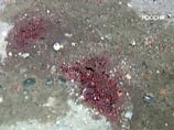 Умер отец убитого неонацистами 27-летнего москвича Дмитрия Кашицына Умер отец убитого неонацистами 27-летнего москвича Дмитрия Кашицына