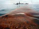По оценкам экспертов в Мексиканский залив вытекло до 150 тыс. тонн нефти