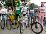 Около 300 велосипедистов голыми проехали по центральной улице мексиканской столицы Мехико в знак протеста против загрязнения нефтепродуктами компании ВР Мексиканского залива