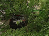Шквалистым ветром в Москве повалены около 150 деревьев - шесть человек пострадали