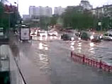 Шквалистым ветром в Москве повалены около 150 деревьев - шесть человек пострадали Шквалистым ветром в Москве повалены около 150 деревьев - шесть человек пострадали