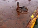 Обама обяжет BP открыть спецсчет для выплат пострадавшим от утечки нефти