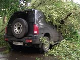 В Москве ураган повалил почти две тысячи деревьев - семь человек пострадали