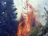 Лесные пожары в центре Сахалина охватили более 5 гектаров, на Дальнем Востоке их число удвоилось