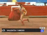 Трусливого матадора оштрафовали за бегство с арены от разъяренного быка (ВИДЕО)