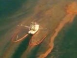 Нефтяное пятно в Мексиканском заливе попробуют удалить с помощью бактерий