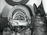 Космонавт, летавший с Гагариным в день гибели, рассказал о его роковой ошибке
