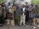 Талибы и МВД Пакистана опровергают: мулла Омар не арестован, это "ерунда"