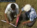В Волгоградской области погибли посевы сельскохозяйственных культур на площади 511,6 тысячи гектаров