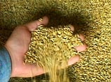 Минсельхоз начинает  борьбу со стремительно взлетающими ценами на зерно