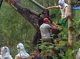 Юрий Шевчук поддержал защитников Химкинского леса: бюрократии и циничным дельцам "все по барабану"