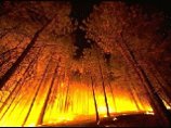 В Канаде полыхают лесные пожары