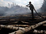 В Московской области было зарегистрировано 63 природных пожара на общей площади 71 гектар, из них 38 торфяных и 25 лесных. Причем, по данным на 17:00 воскресенья, действующих природных пожаров в регионе не было