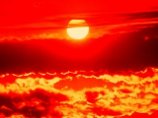 Аномальная жара может стать нормой к 2070 году, считают эксперты ООН