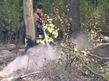 Первый природный пожар в Москве: в Крылатском загорелась трава