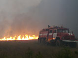 Воронеж в кольце природных пожаров: огонь разносит шквалистым ветром, горят целые села
