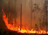В Центральной России 14 природных пожаров угрожают населенным пунктам