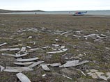 К северу от Канады найдено судно, брошенное во льдах в 1853 году
