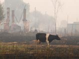 Число жертв пожаров в центральной России растет - 28 погибших