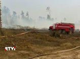 Почти 20 природных пожаров продолжают действовать на территории Московской области, при этом около 50 очагов возгораний было потушено за минувшие сутки