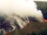 В МЧС уточнили, что в Нижегородской области по сравнению с 29 июля число очагов пожаров увеличилось на 10, а площадь возросла на 5 тыс. га