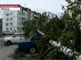 По информации МЧС России по Ленинградской области, повторения урагана на территории региона не ожидается